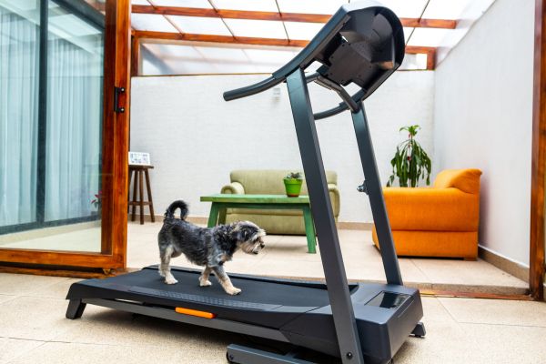 Treadmill Installation in Cranston