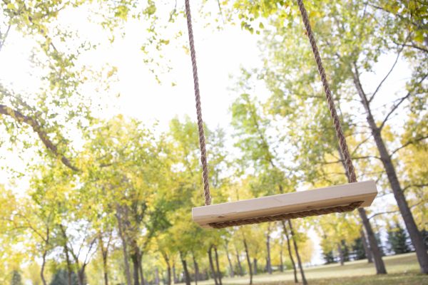 Tree Swing Installation in Cranston