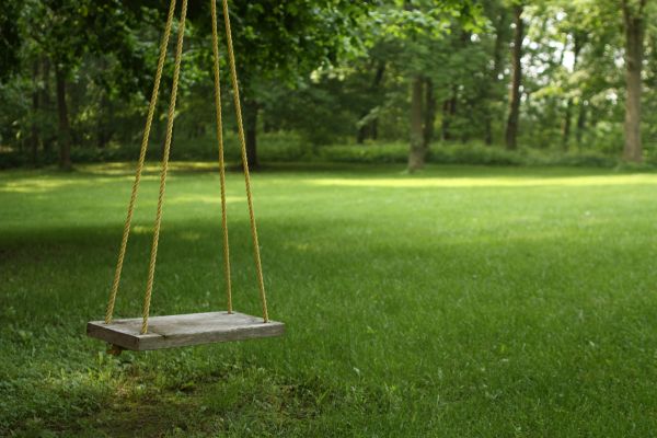 Rope Swing Installation in Cranston