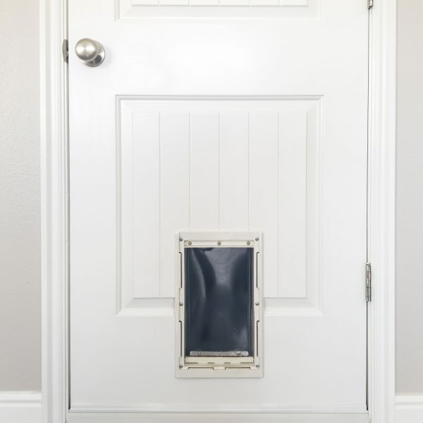 Pet Door Repair in Cranston