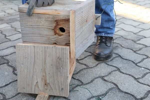 Birdhouse Mounting in Cranston